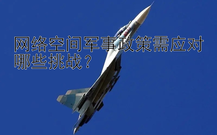 网络空间军事政策需应对哪些挑战？