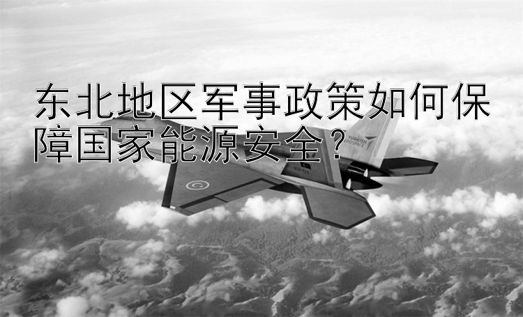 东北地区军事政策如何保障国家能源安全？