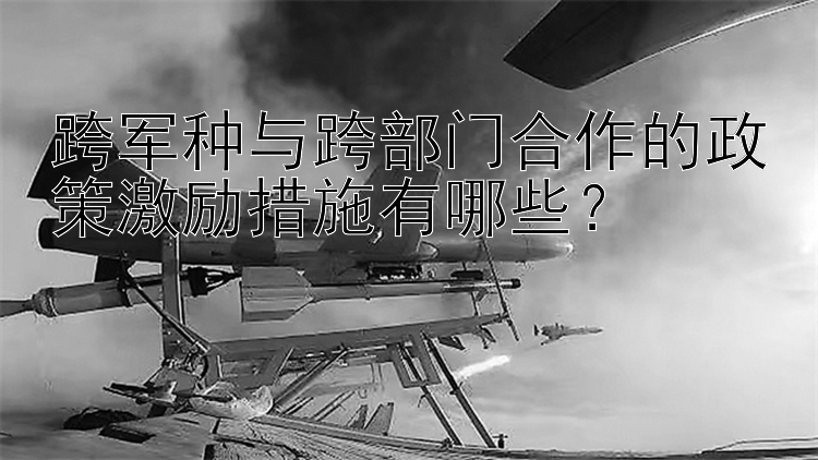 跨军种与跨部门合作的政策激励措施有哪些？