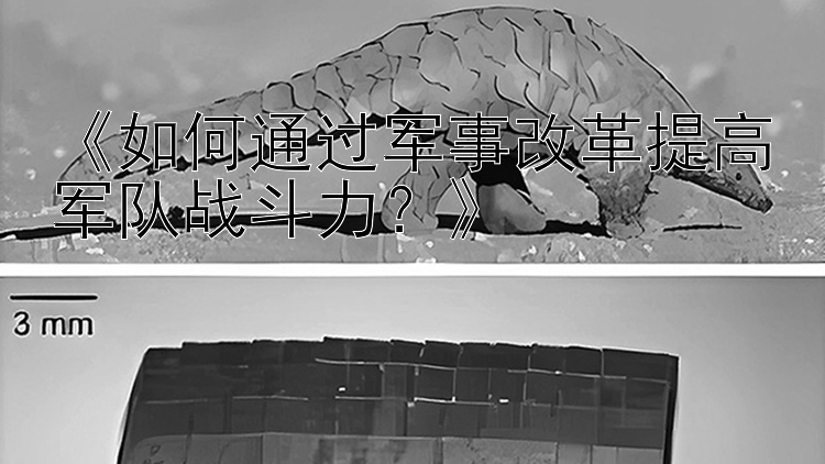 《如何通过军事改革提高军队战斗力？》