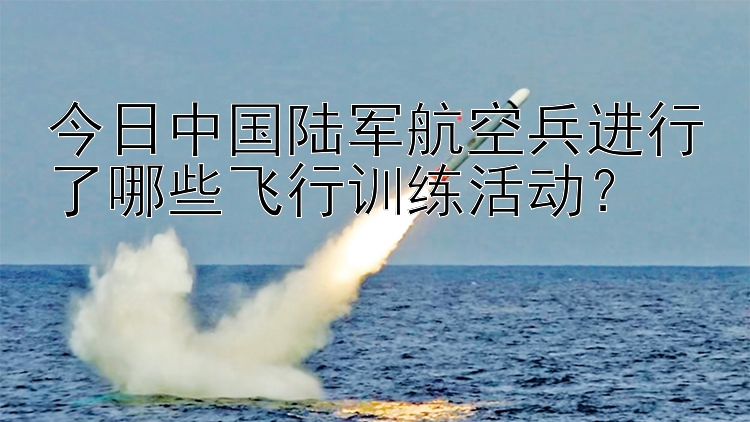 今日中国陆军航空兵进行了哪些飞行训练活动？